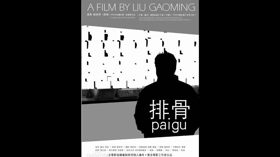 纪录片《排骨》国语中字标清/清晰度可以纪录片下载