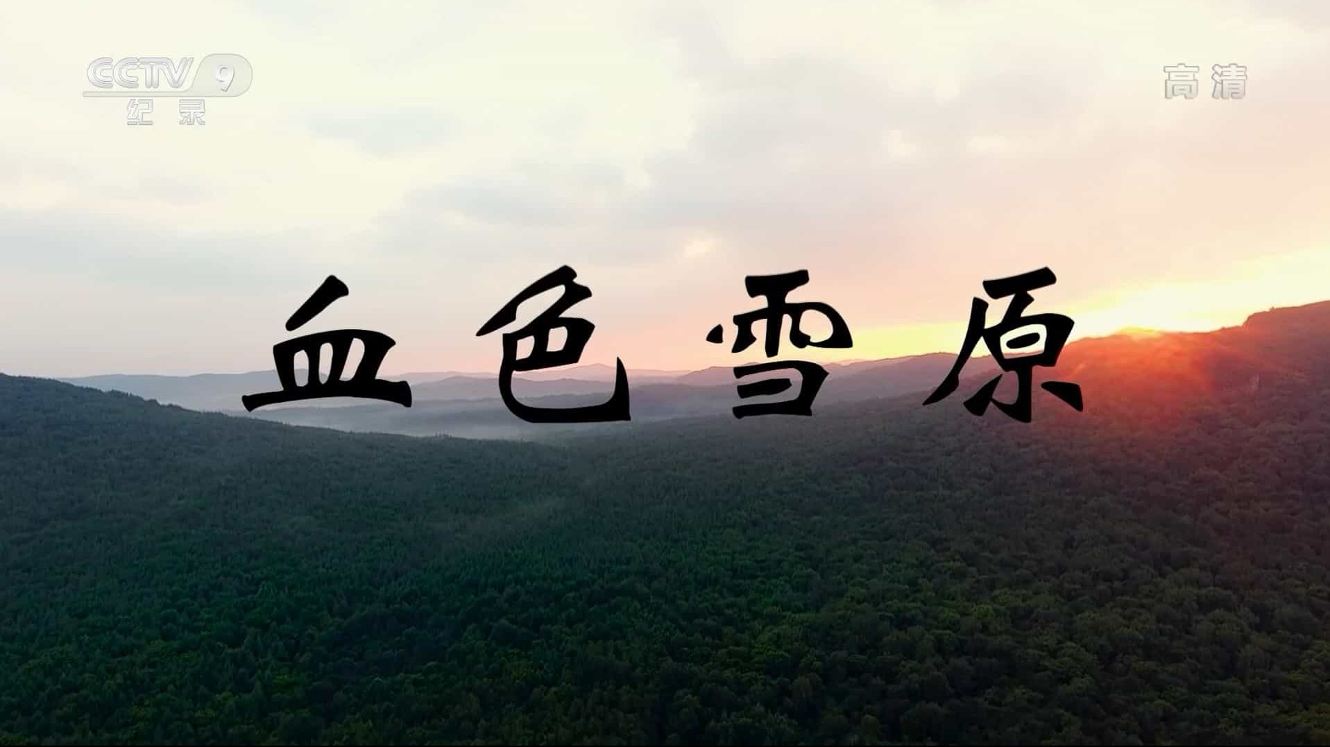 央视纪录片《血色雪原 2020》全4集 国语中字 1080i高清下载