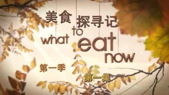 BBC美食纪录片《美食探寻记 What To Eat Now》第1-2季共12集 英语中英双字 标清下载