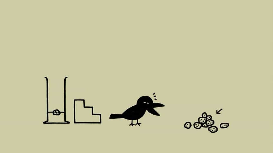 NHK纪录片《像乌鸦一样思考 Think Like a Crow 2013》全20集 日语中字 720P高清网盘下载