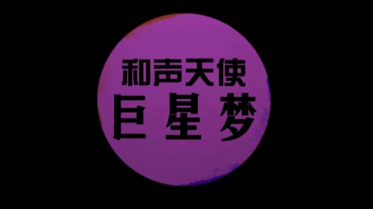 央视纪录片《离巨星二十英尺/和声天使巨星梦 Twenty Feet from Stardom 2016》全1集 国语中字 1080i高清下载