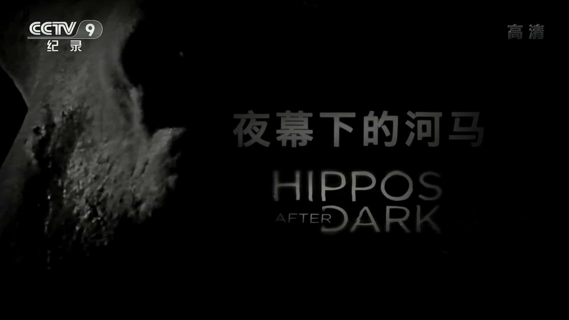 央视纪录片《夜幕下的河马 Hippos After Dark 2015》全1集 国语中字 1080i高清下载