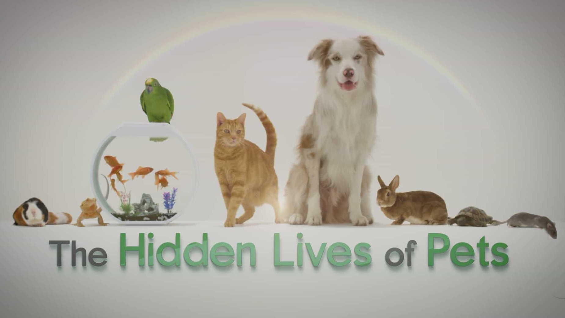 Netflix纪录片/萌宠系列《宠物的秘密生活 The Hidden Lives of Pets 2022》第1季 全4集 英语中字 1080P高清网盘下载