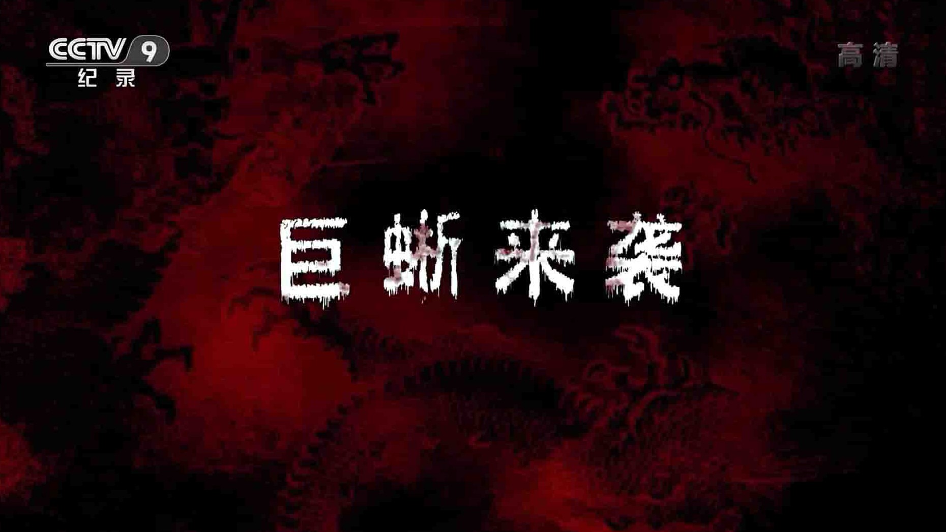 央视记录片《巨蜥来袭 2019》全1集 国语中字 1080i高清网盘下载