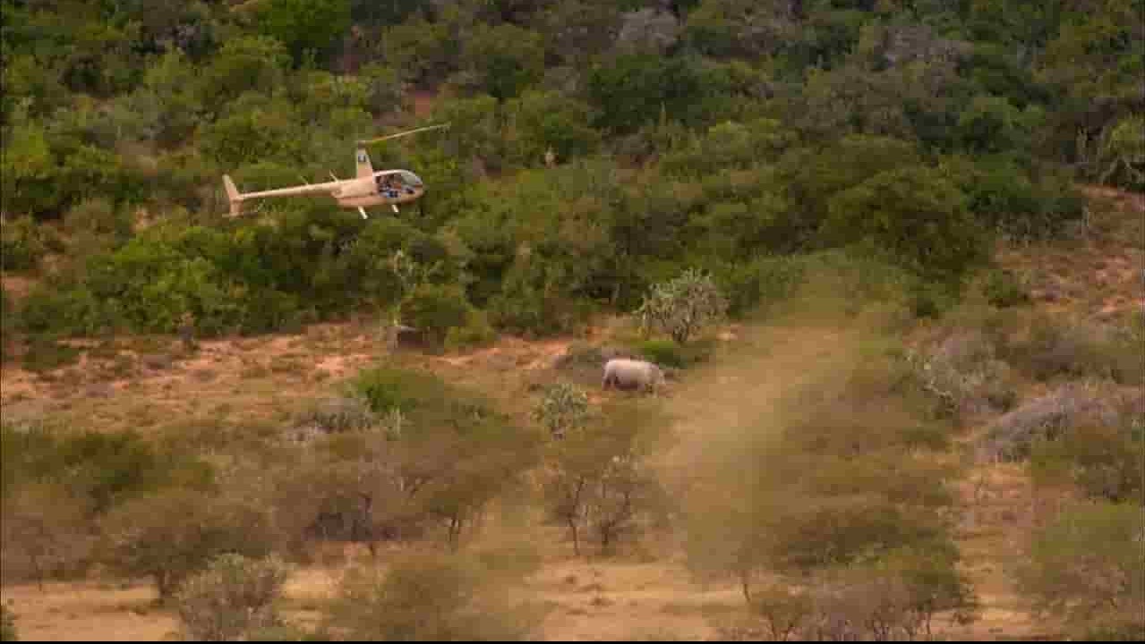 PBS纪录片《野生救助 Operation Wild》全3集 英语英字 720P高清网盘下载