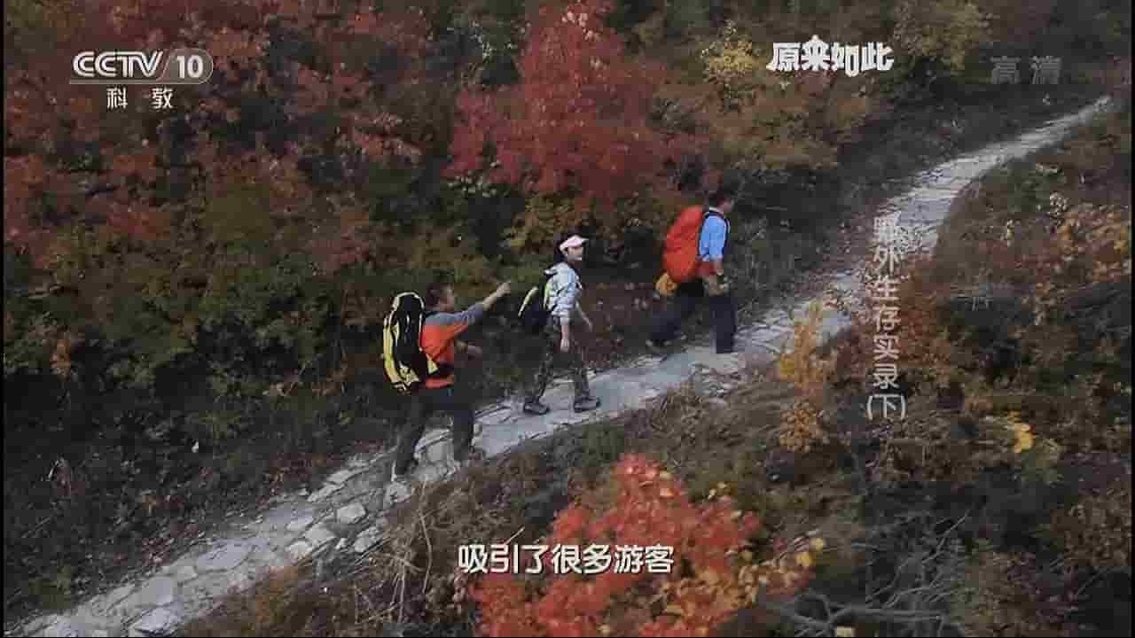 央视纪录片《原来如此 野外生存实录》全2集 国语中字 720P高清网盘下载