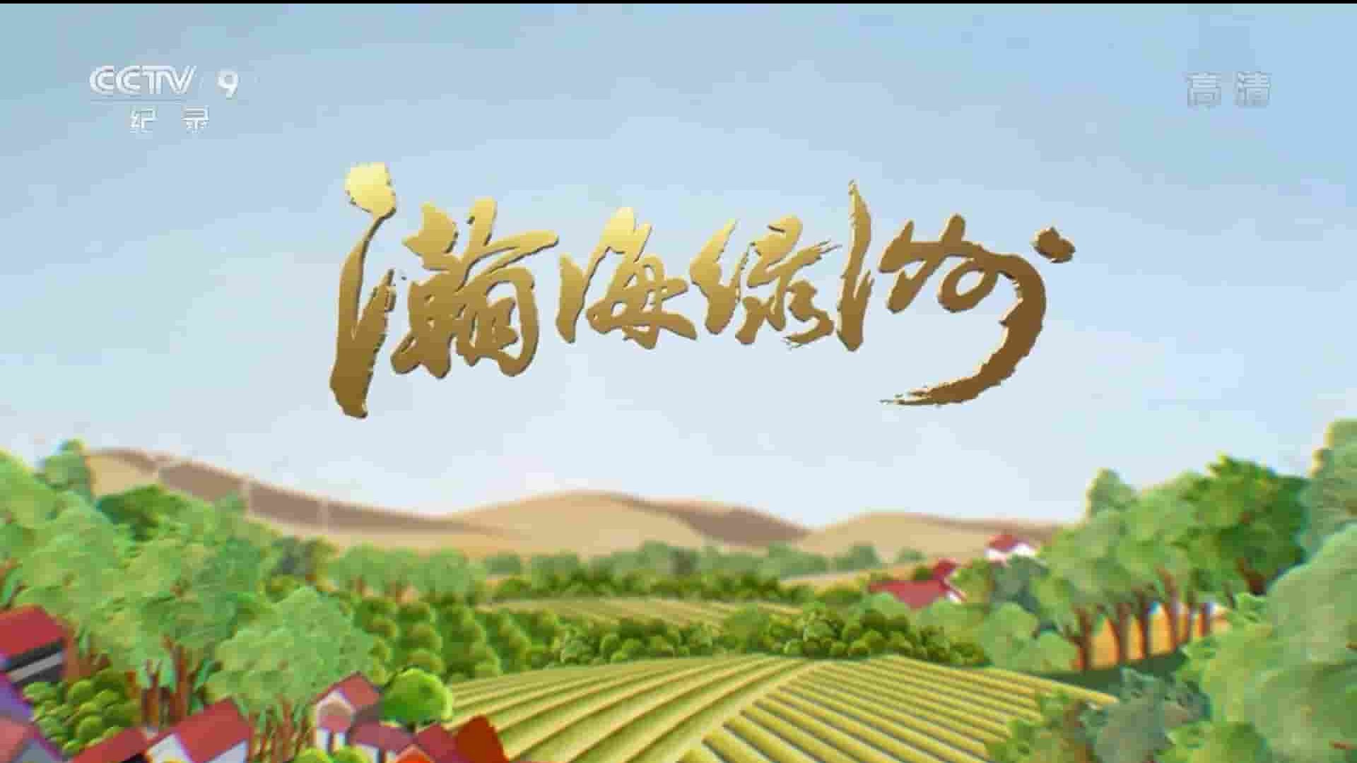 央视纪录片《瀚海绿洲 2017》全2集 国语中字 1080P高清网盘下载