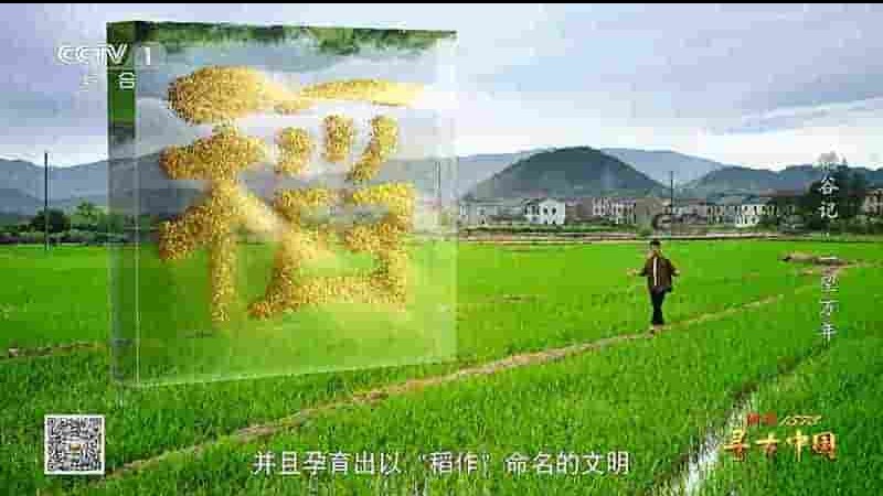 央视纪录片《寻古中国·稻谷记 2023》全5集 国语中字 1080P高清网盘下载