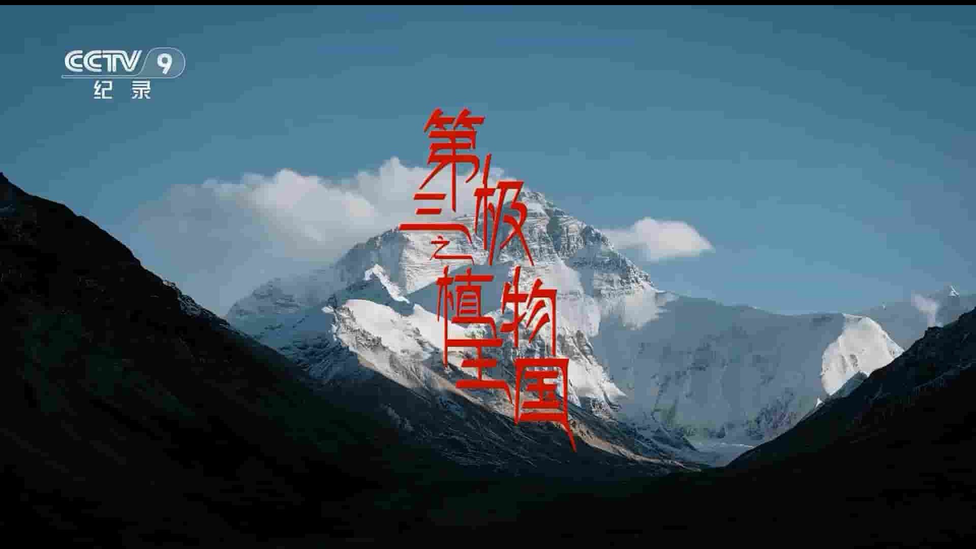 央视纪录片《第三极之植物王国/喜马拉雅的种子 Seeds of Himalayas 2020》全3集 国语中字 1080P高清网盘下载