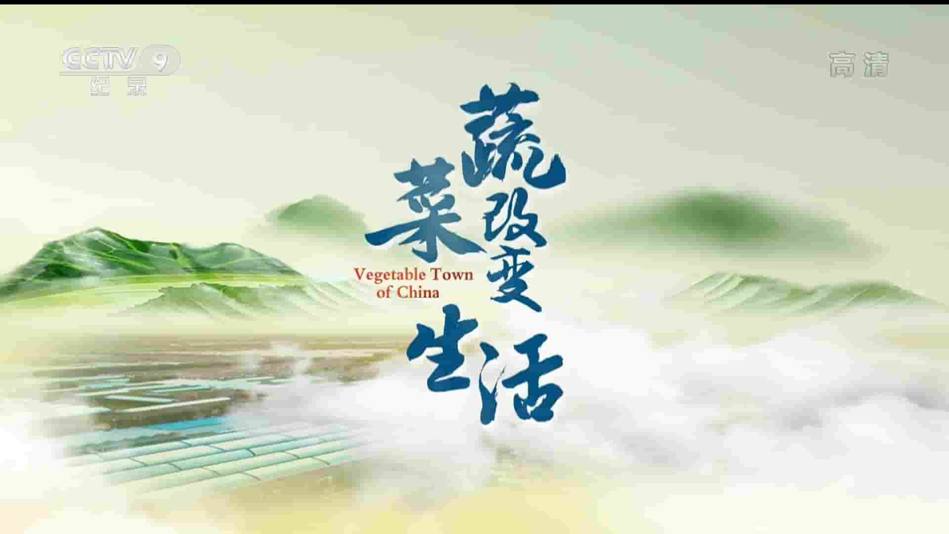 央视纪录片《蔬菜改变生活 Vegetable Town of China 2022》全3集 国语中字 1080P高清网盘下载