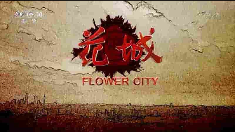 央视纪录片《花城 2019》全2集 国语中字 1080P高清网盘下载