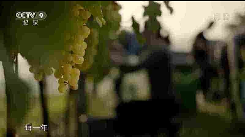 奥地利纪录片《葡萄园中的动物世界 Empire of the Vineyard 2019》全1集 国语中字 1080i高清网盘下载