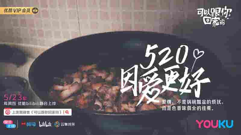 国产纪录片《可以跟你回家吗 2019》全7集 国语中字 1080p高清网盘下载