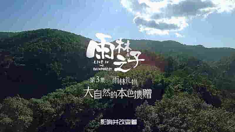 国产纪录片《雨林之子 Live in the Rainforest 2022》全8集 国语中字 4K超高清网盘下载