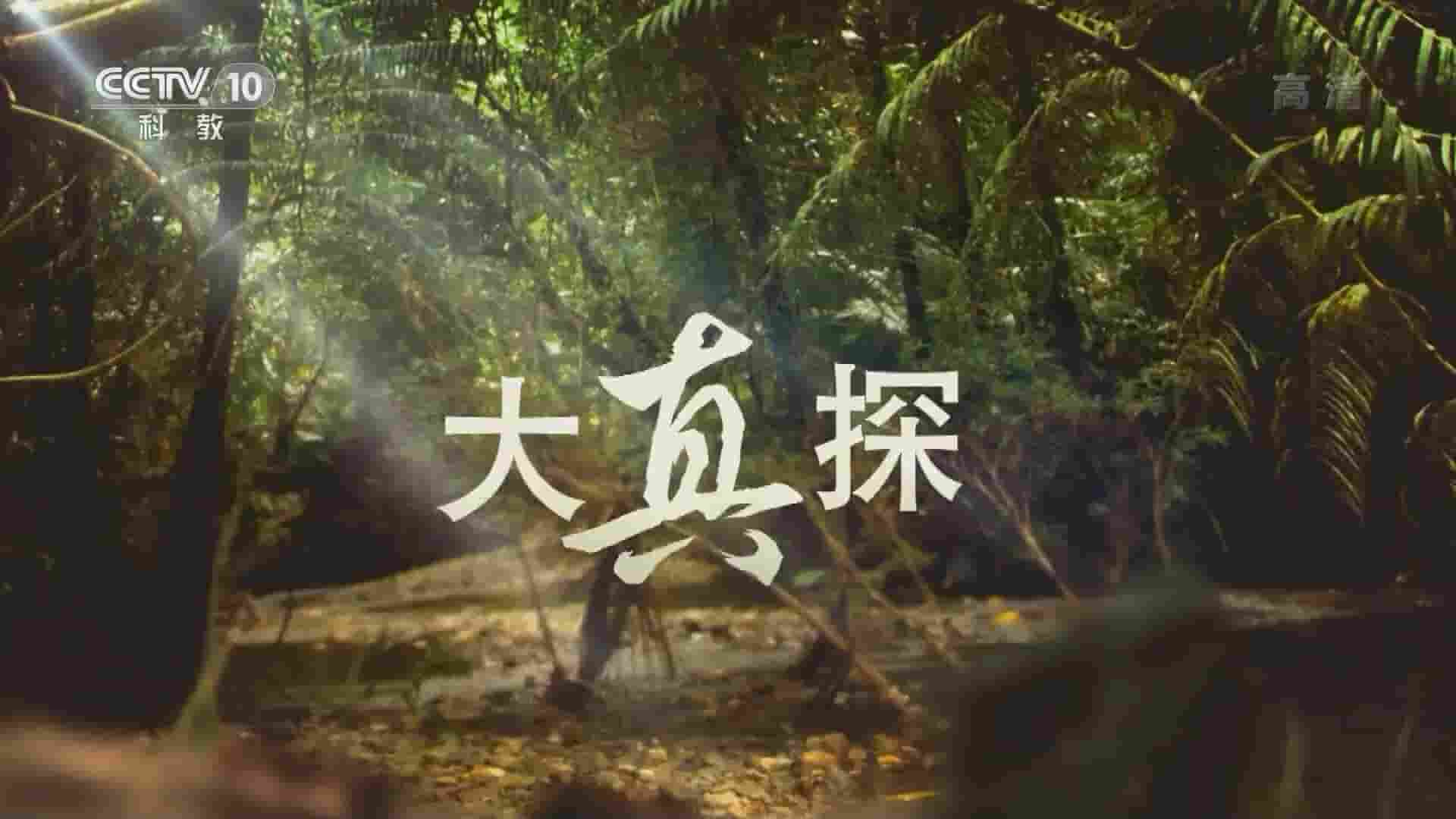 央视纪录片《野外求生指南之征服绝地》全12集 国语中字 1080P高清网盘下载