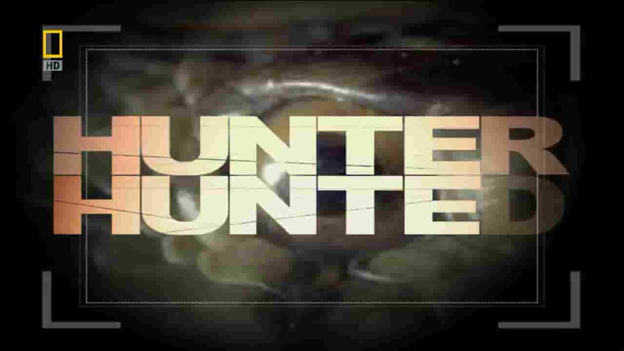 国家地理《猎人猎物 Hunter Hunted 2005》全5集 英语中字 720P高清网盘