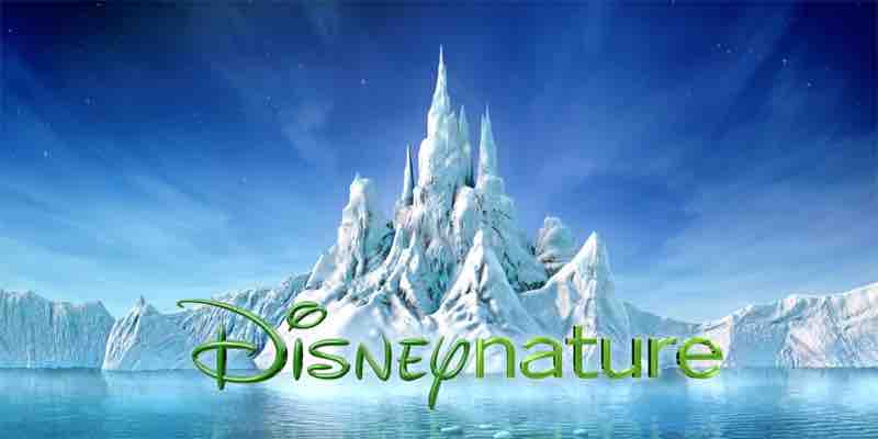 Disney+纪录片/纪录片合辑《迪士尼自然 Disneynature》全9部 英语中字 1080P高清网盘