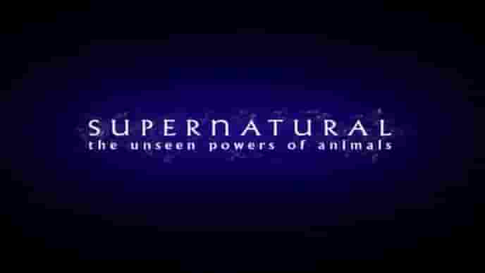  BBC纪录片《超自然力量：探索自然界的神奇力量 Supernatural: The Unseen Powers of Animals》全6集 中英语中字 标清网盘