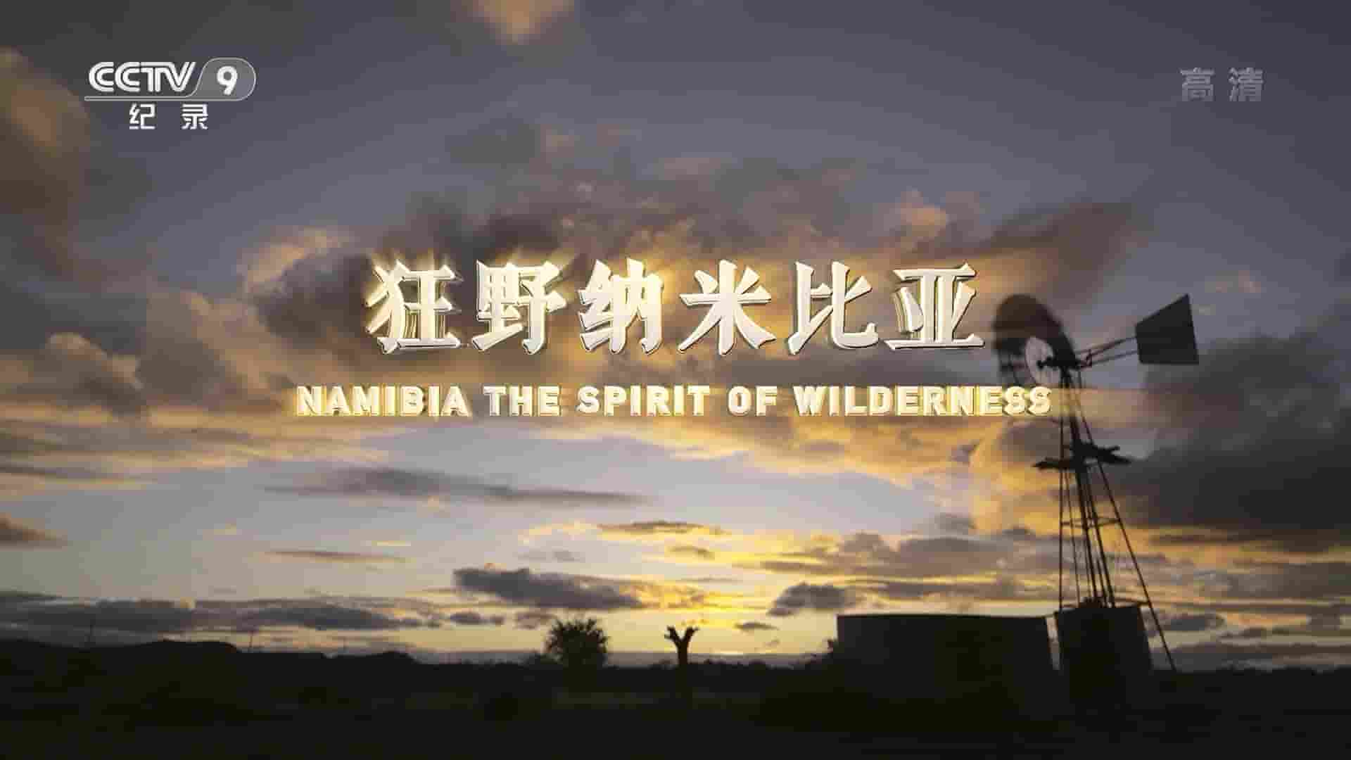 央视纪录片《狂野纳米比亚/纳米比亚：旷野的精神 Namibia: The Spirit of Wilderness 2016》全1集 国语中字 1080i高清网盘