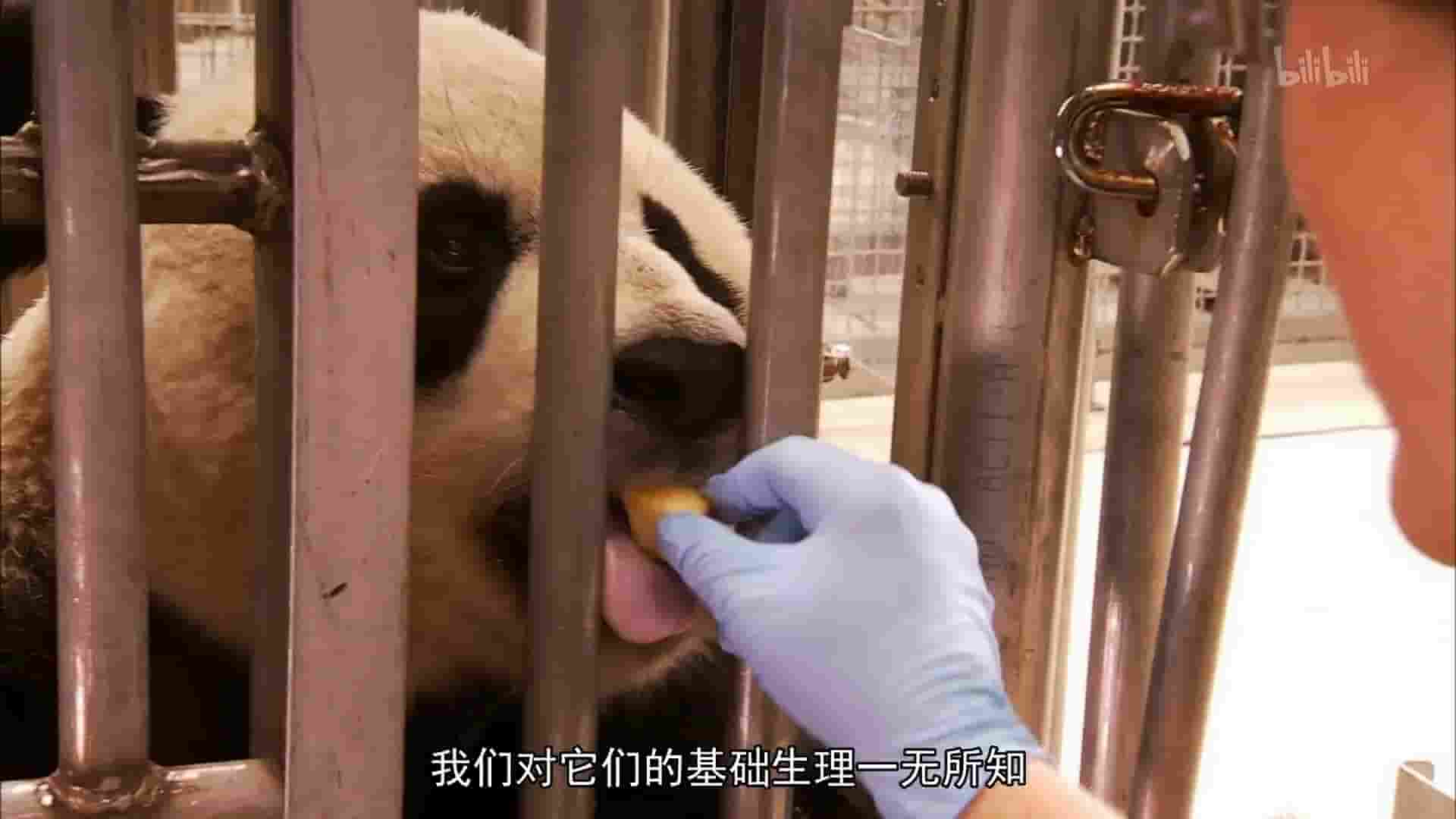 史密森频道《自然界的媒人 Nature’s Matchmaker 2011》全1集 英语中字 1080P高清网盘