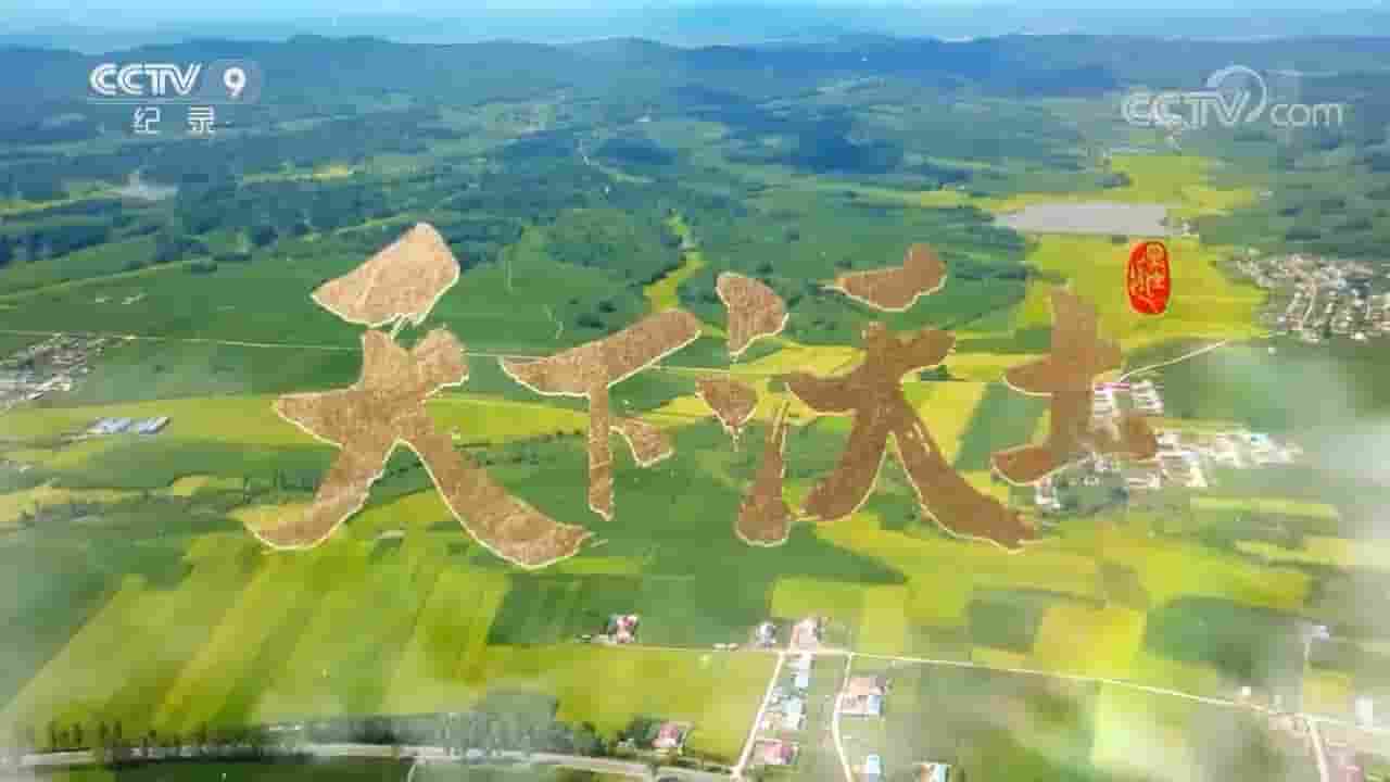 央视纪录片《天下沃土 2021》全4集 国语中字 720P高清网盘