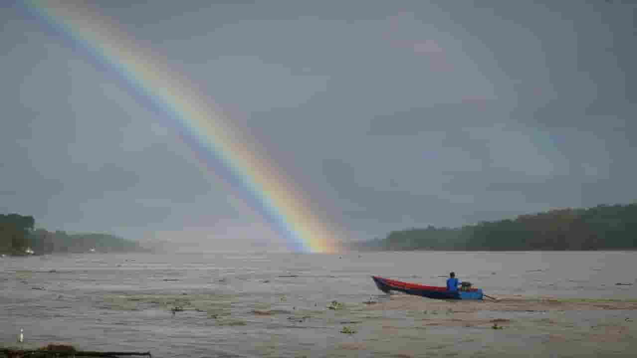 国家地理《探险亚马逊 Expedition Amazon 2024》全1集 多国语言多国字幕 720P高清网盘