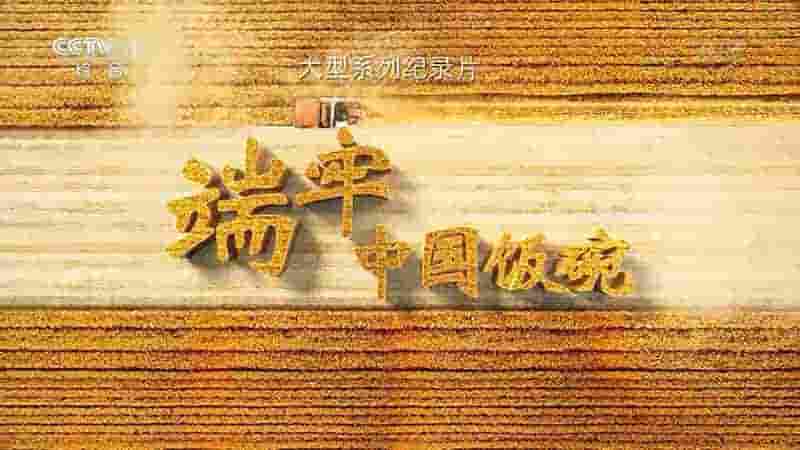 央视纪录片《端牢中国饭碗 2022》全16集 国语中字 1080P高清网盘
