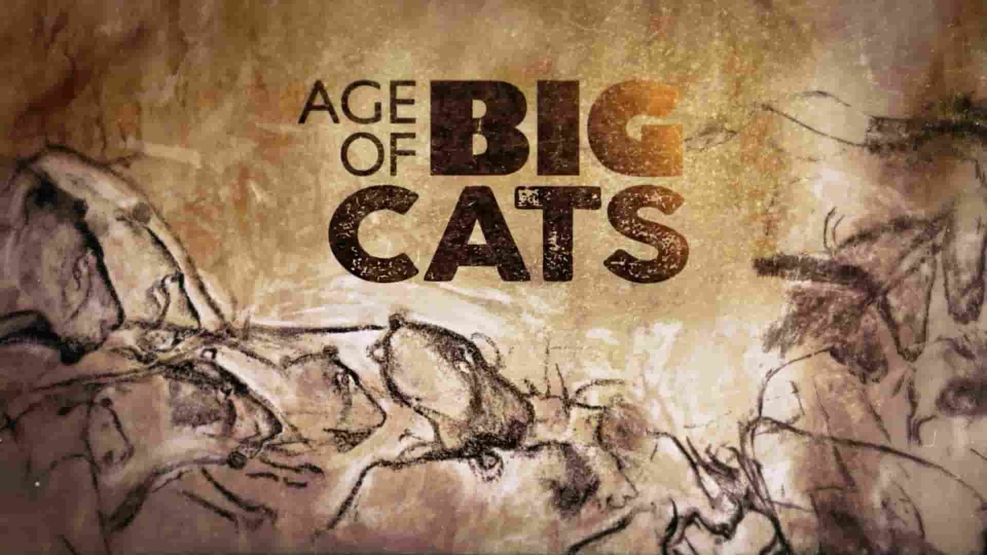 Curiosity纪录片《大猫的时代 Age of Big Cats 2018》全3集 英语中英双字 1080P高清网盘