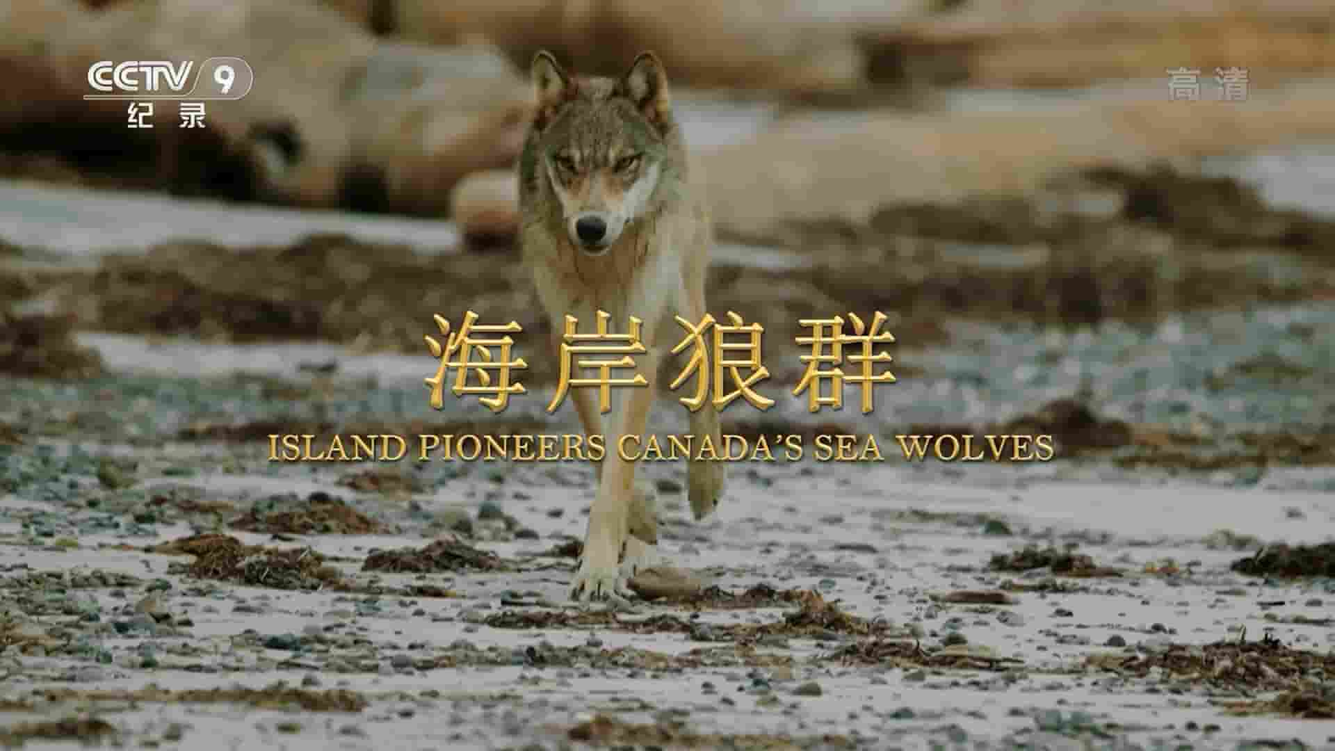 央视纪录片《海岸狼群 Island Pioneers: Canada’s Sea Wolves 2022》全1集 国语中字 1080P高清网盘