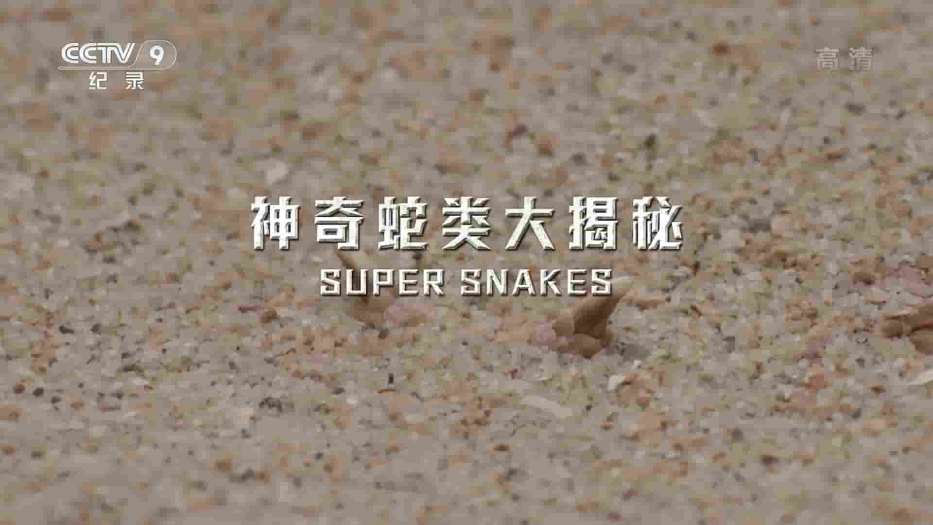 央视纪录片《神奇蛇类大揭秘 Super Snakes 2016》全1集 国语中字 1080P高清网盘