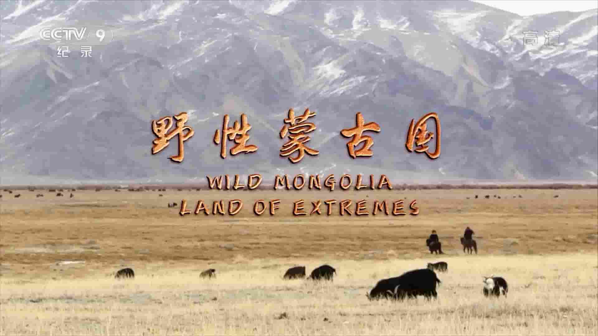 央视纪录片《野性蒙古国 Wild Mongolia: Land of Extremes 2018》全3集 国语中字 1080P高清网盘