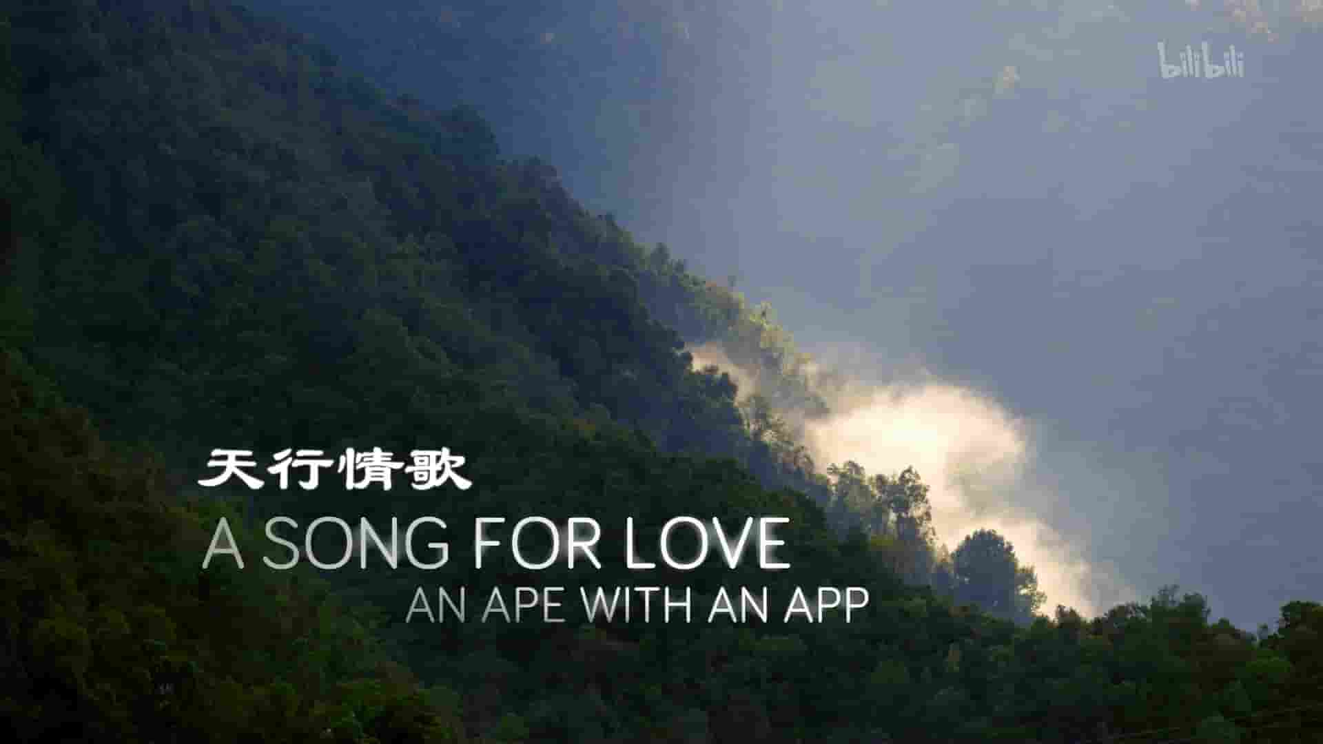 国产纪录片《天行情歌 A Song for Love 2020》全1集 国语中字 1080P高清网盘