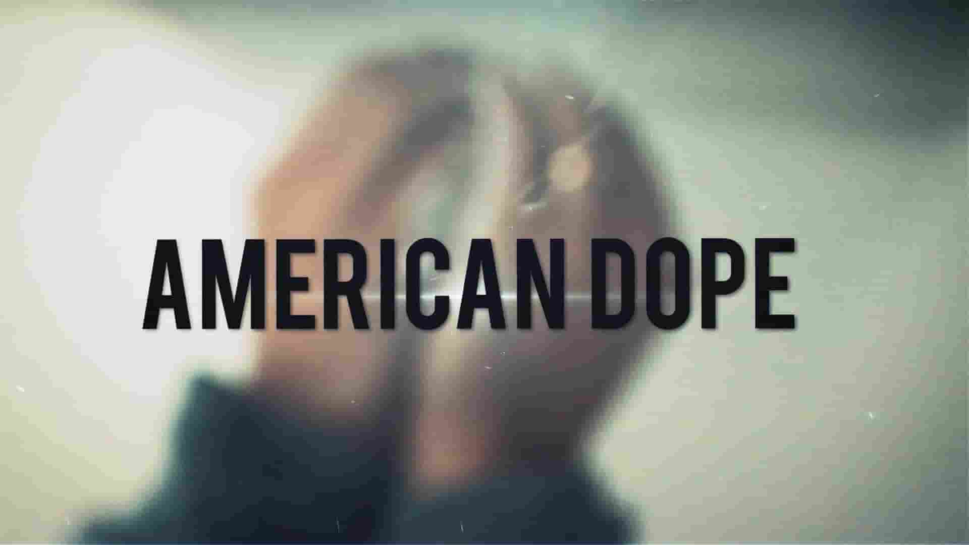 美国纪录片《美国毒品：酸之梦 American Dope: Acid Dreams 2018》全1集 英语中英双字 1080P高清网盘