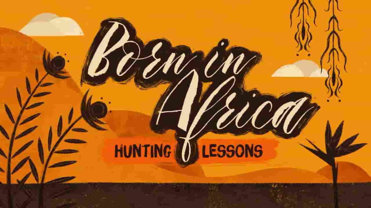 国家地理《非洲原野育成记 Born In Africa 2018》全3集 多国语言多国字幕 720P高清网盘