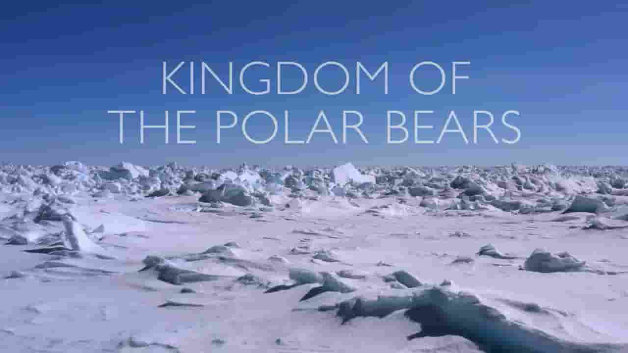 国家地理《北极熊王国 Kingdom of the Polar Bears 2021》全2集 多国语言多国字幕 720P高清网盘