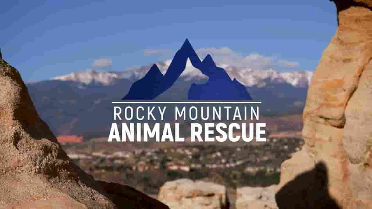  国家地理《落矶山动物救援行动 Rocky Mountain Animal Rescue 2018》全6集 多国语言多国字幕 720P高清网盘
