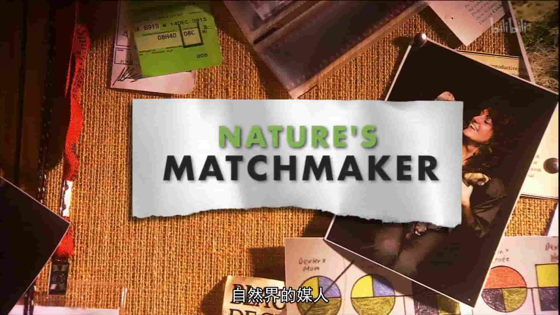 史密森尼频道《自然界的媒人 Nature