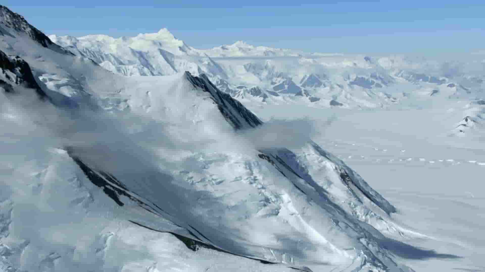 BBC纪录片《雪地动物 Snow Animals 2019》全1集 英语中英双字 1080P高清网盘