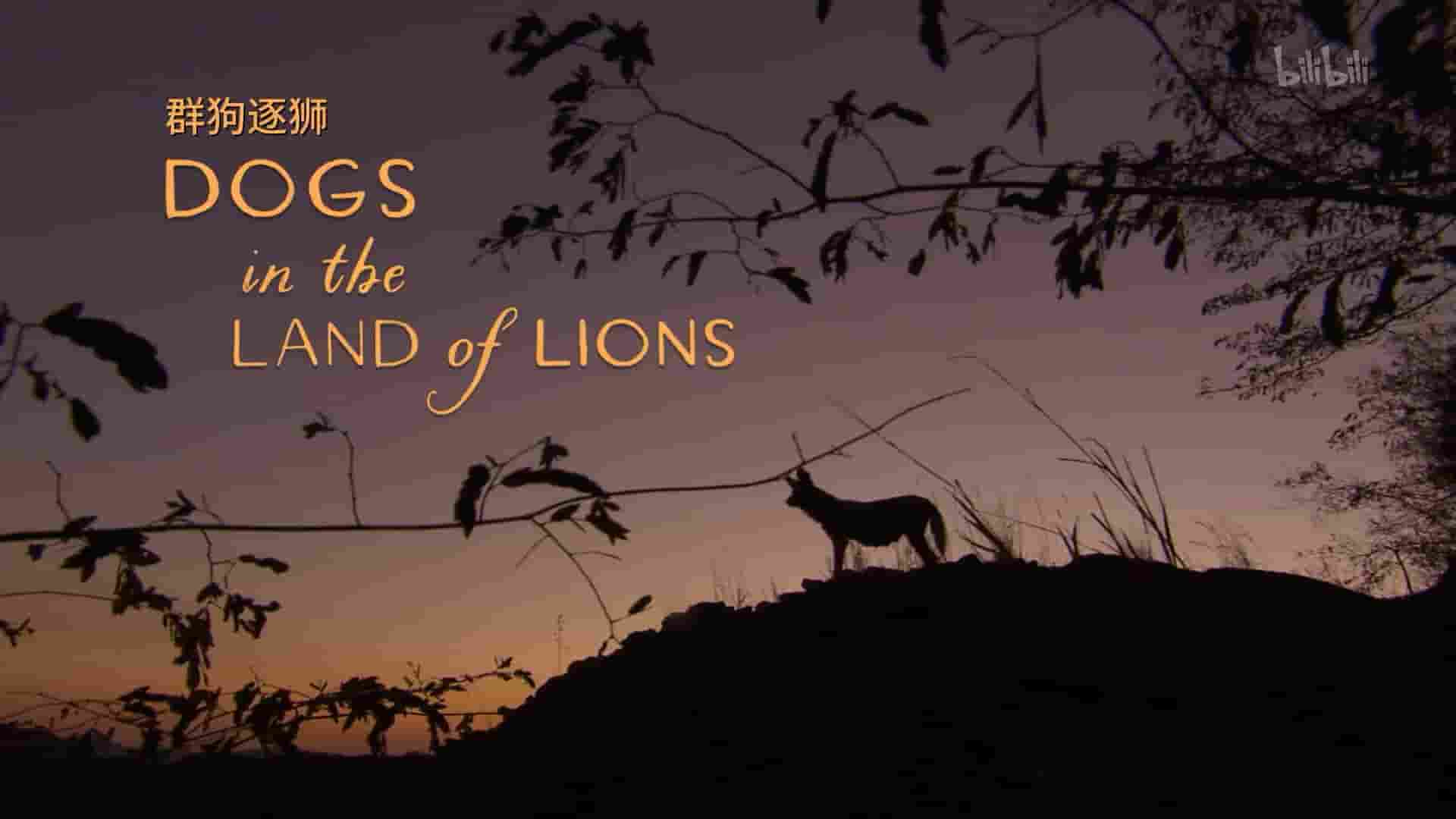 PBS纪录片《群狗逐狮 Dogs in the Land of Lions 2018》全1集 英语中英双字 1080P高清网盘