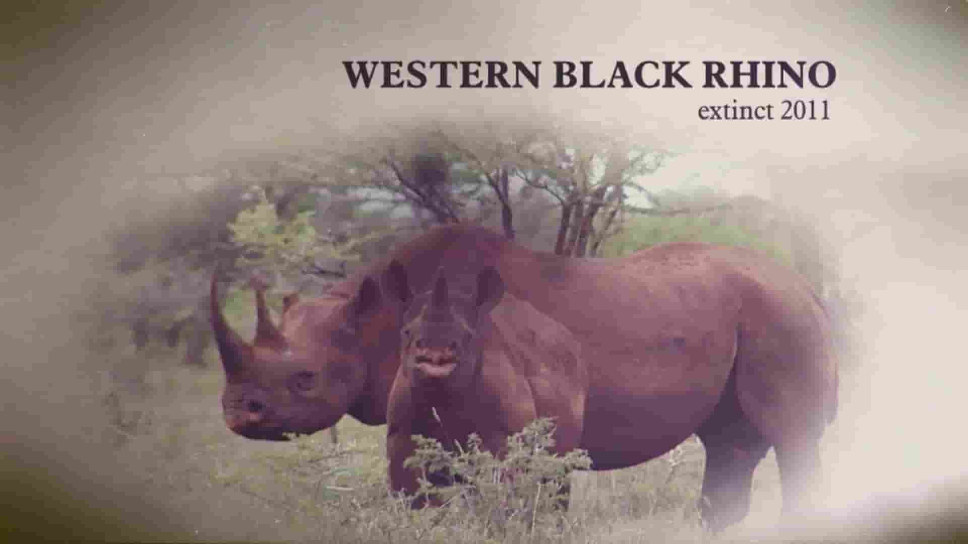 英国纪录片《逃离灭绝 Escape from Extinction 2020》全1集 英语中英双字 1080P高清网盘