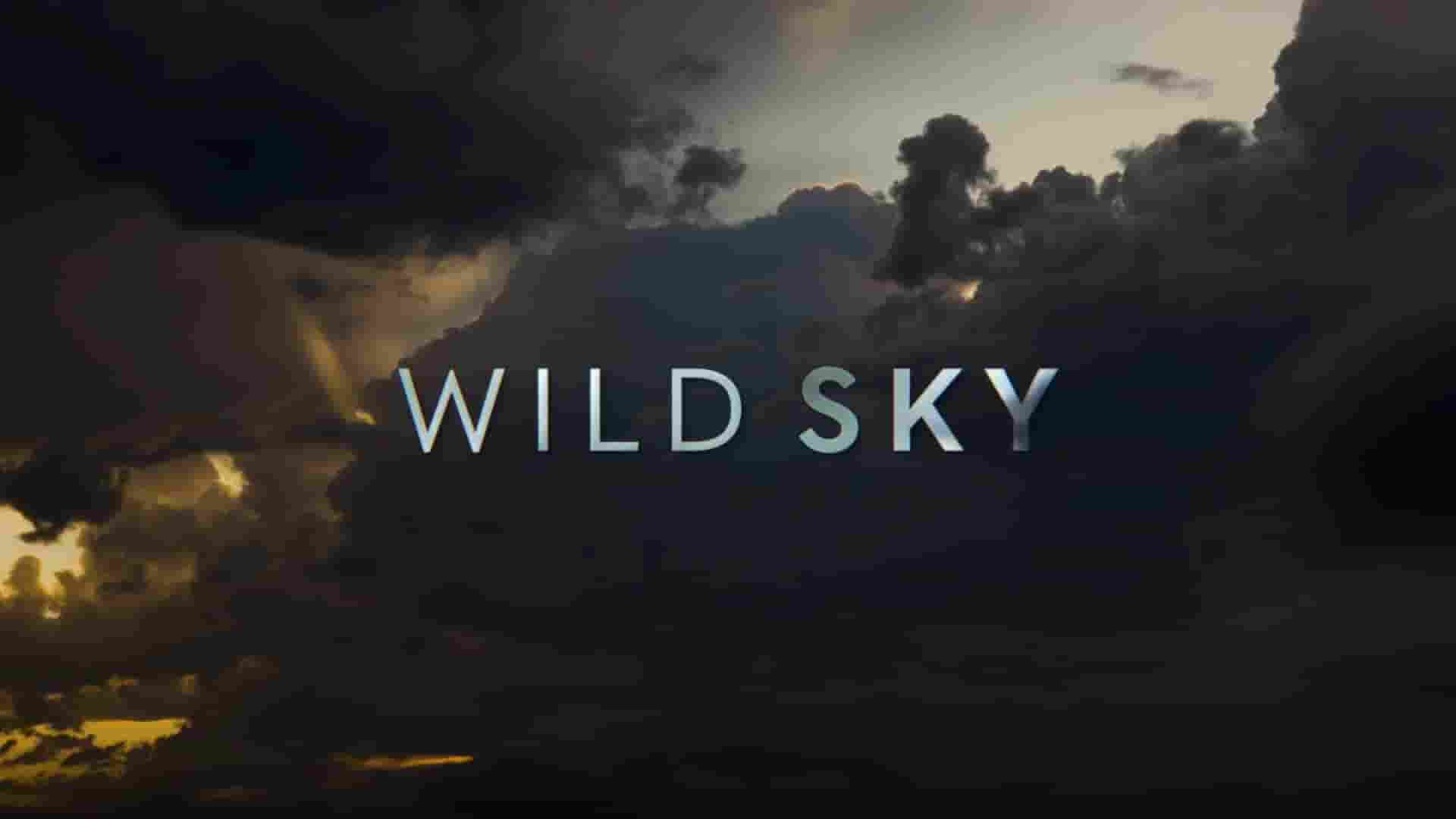 澳大利亚纪录片《狂野天空 Wild Sky 2025》第1季全4集 英语中英双字 1080P高清网盘