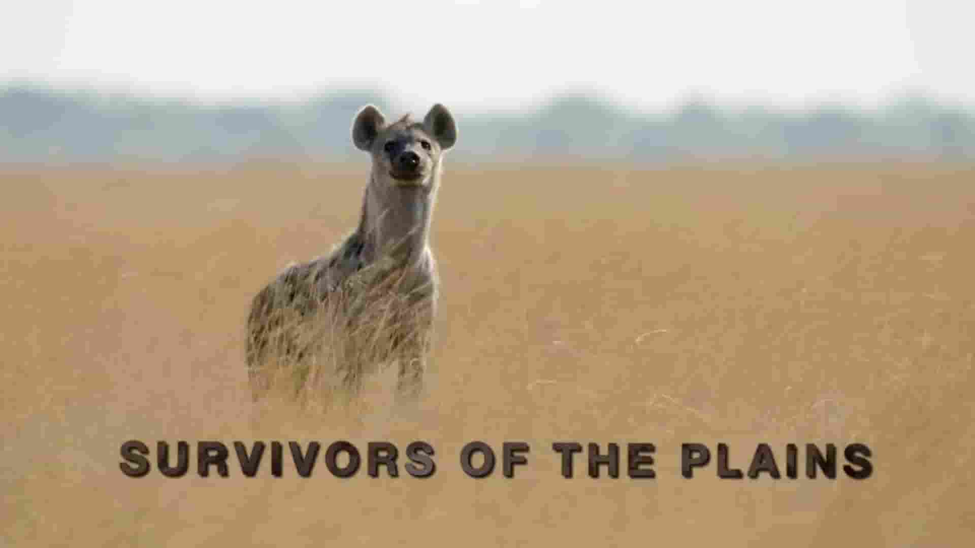 国家地理频道《非洲猎手 Africa’s Hunters》全3季共18集 英语中字 1080P高清网盘