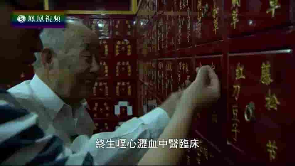 凤凰新闻《岐黄之光：对话国医大师 2018》全5集 国语中字 720P高清网盘